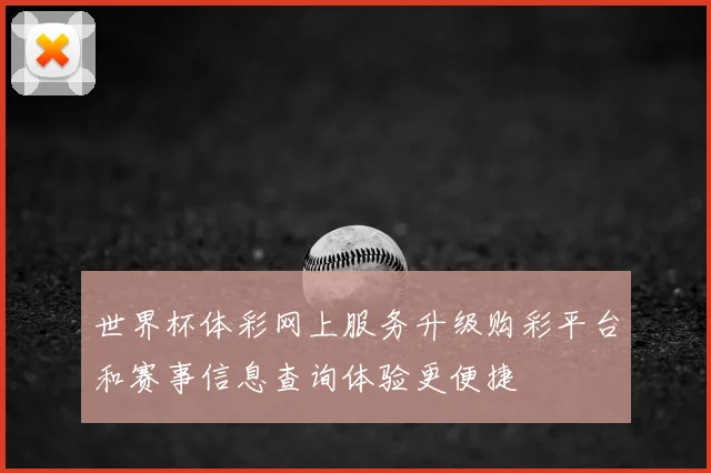 世界杯体彩网上服务升级购彩平台和赛事信息查询体验更便捷