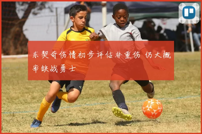 东契奇伤情初步评估非重伤 仍大概率缺战勇士