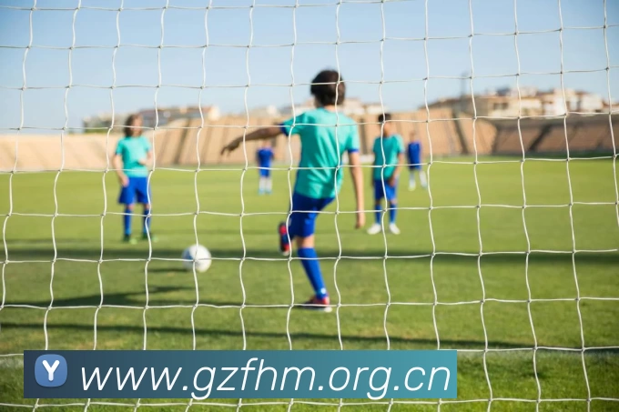 开云手机官方版在线入口 - 开云(中国)发展历程